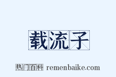 载流子是什么意思的图片